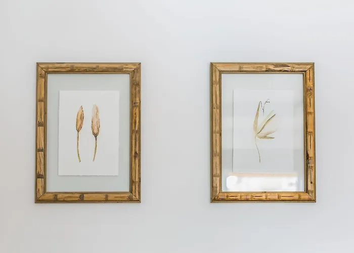 Furadouro And Club *